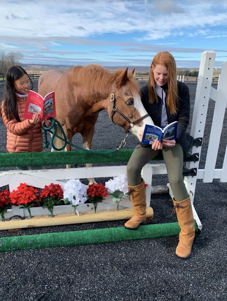 Show Strides Children's Books